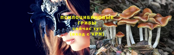 кокс Аркадак
