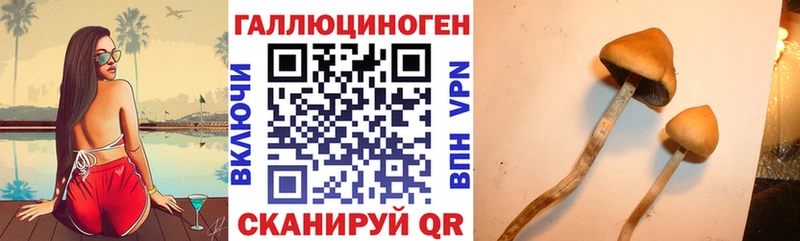 Псилоцибиновые грибы Psilocybe  Электросталь 